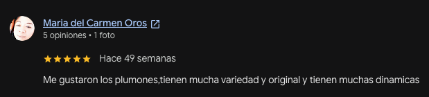 Reseña de María del Carmen Oros en Google sobre La Juárez Papelería
